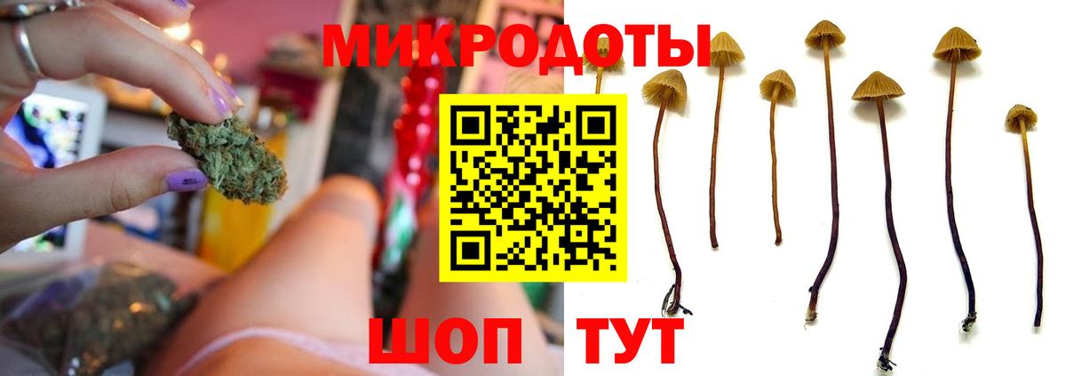 Галлюциногенные грибы Cubensis  Вход с VPN  Тельмана 